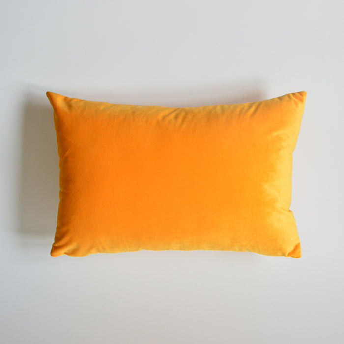 Sofa Velvet Throw Pillow - Cappucci Living