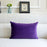 Sofa Velvet Throw Pillow - Cappucci Living