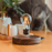 Magnetic Levitation Floating Glass LED Lamp - Cappucci Living