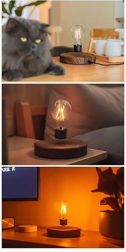 Magnetic Levitation Floating Glass LED Lamp - Cappucci Living