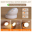 Xiaomi Night Lamp With Motion Sensor Night Light - Cappucci Living